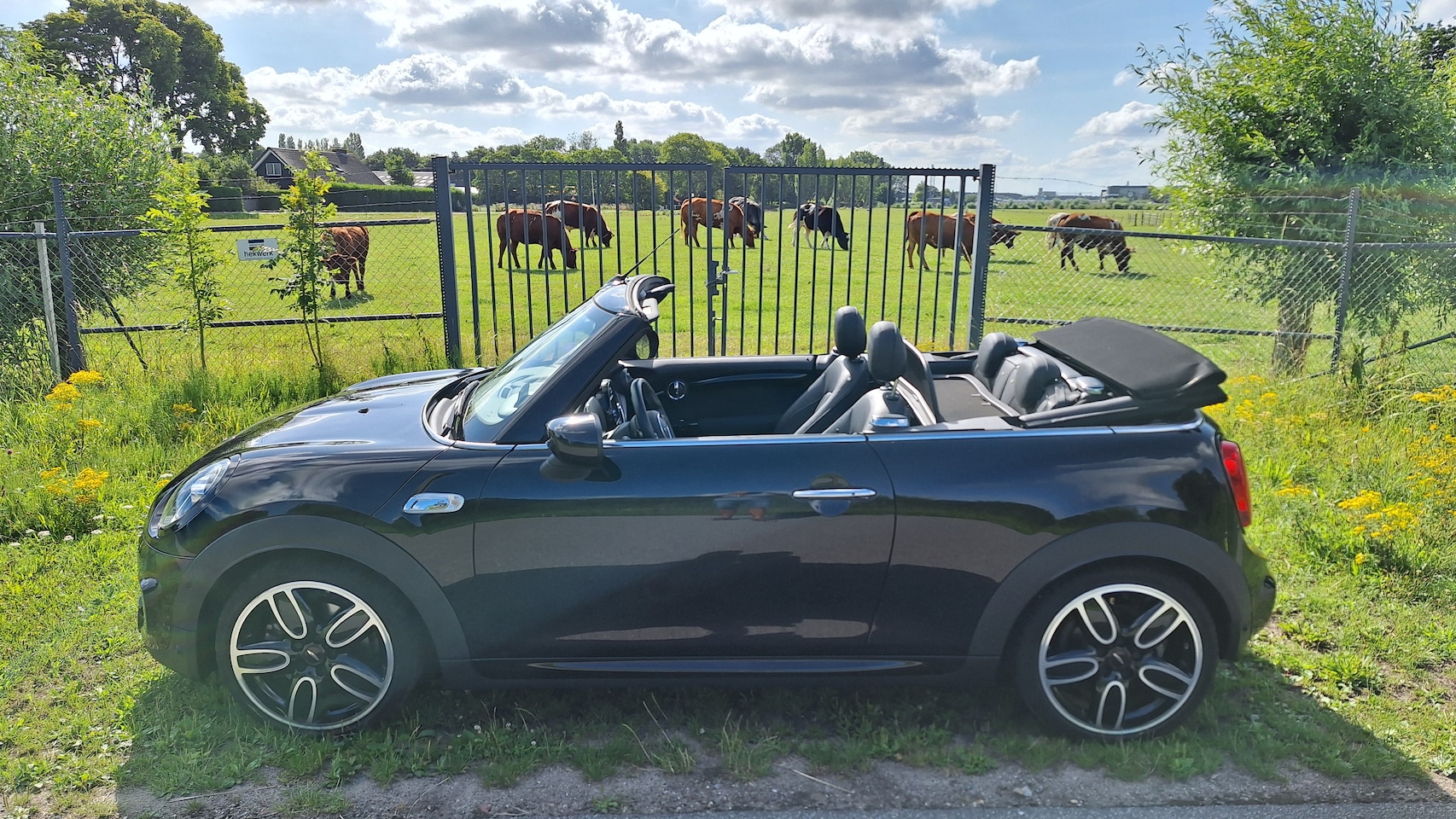 MINI Cabrio - 2.0 Cooper S Hammersmith John Cooper Works - AutoWereld.nl