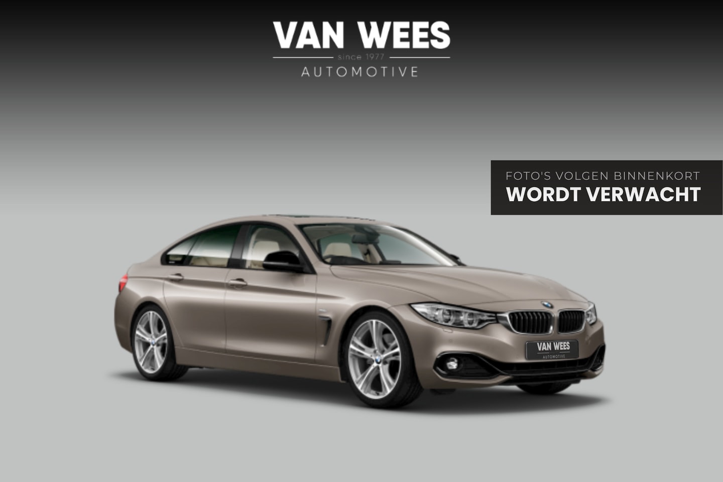 BMW 4-serie Gran Coupé - 430i F36 Centennial High Executive | Dakraam | Head-up | 19 inch | Trekhaak | Leer | Navi - AutoWereld.nl