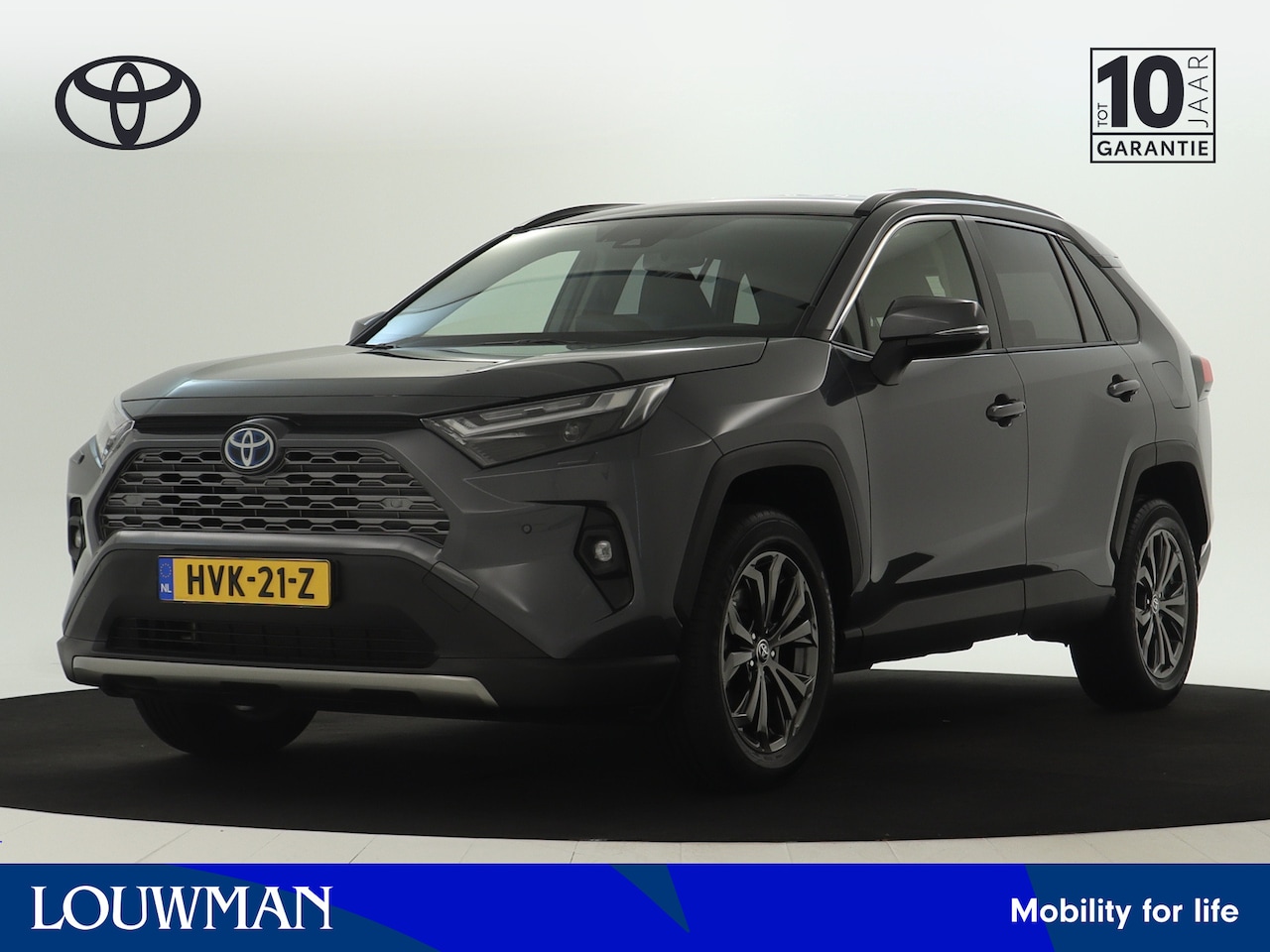 Toyota RAV4 - 2.5 Hybrid AWD Executive Limited Lichtmetalen Velgen I Navigatie I Climate Control I Leder - AutoWereld.nl