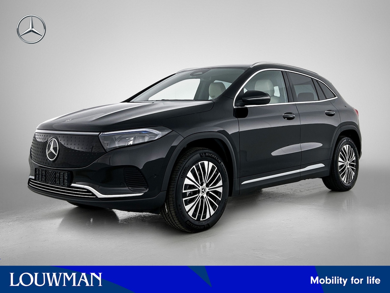 Mercedes-Benz EQA - 250+ Business Solution Luxury 71 kWh | Panoramaschuifdak in glas | Winter pakket | Dodehoe - AutoWereld.nl