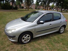 Peugeot 206 - met nieuwe a p k