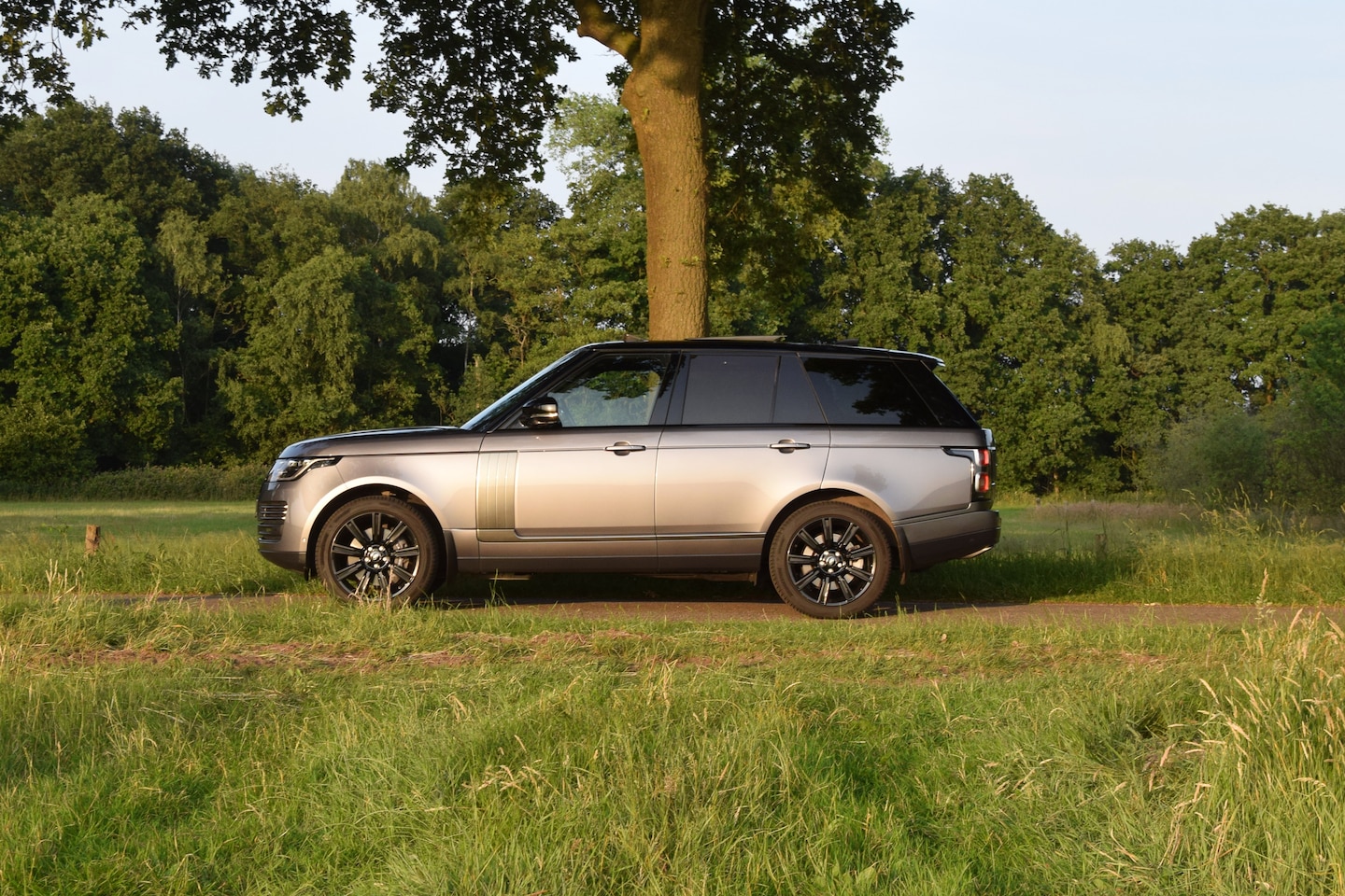 Land Rover Range Rover - 3.0 TDV6 Vogue HSE – Eiger Grey – 144.261km - Y2020 - AutoWereld.nl