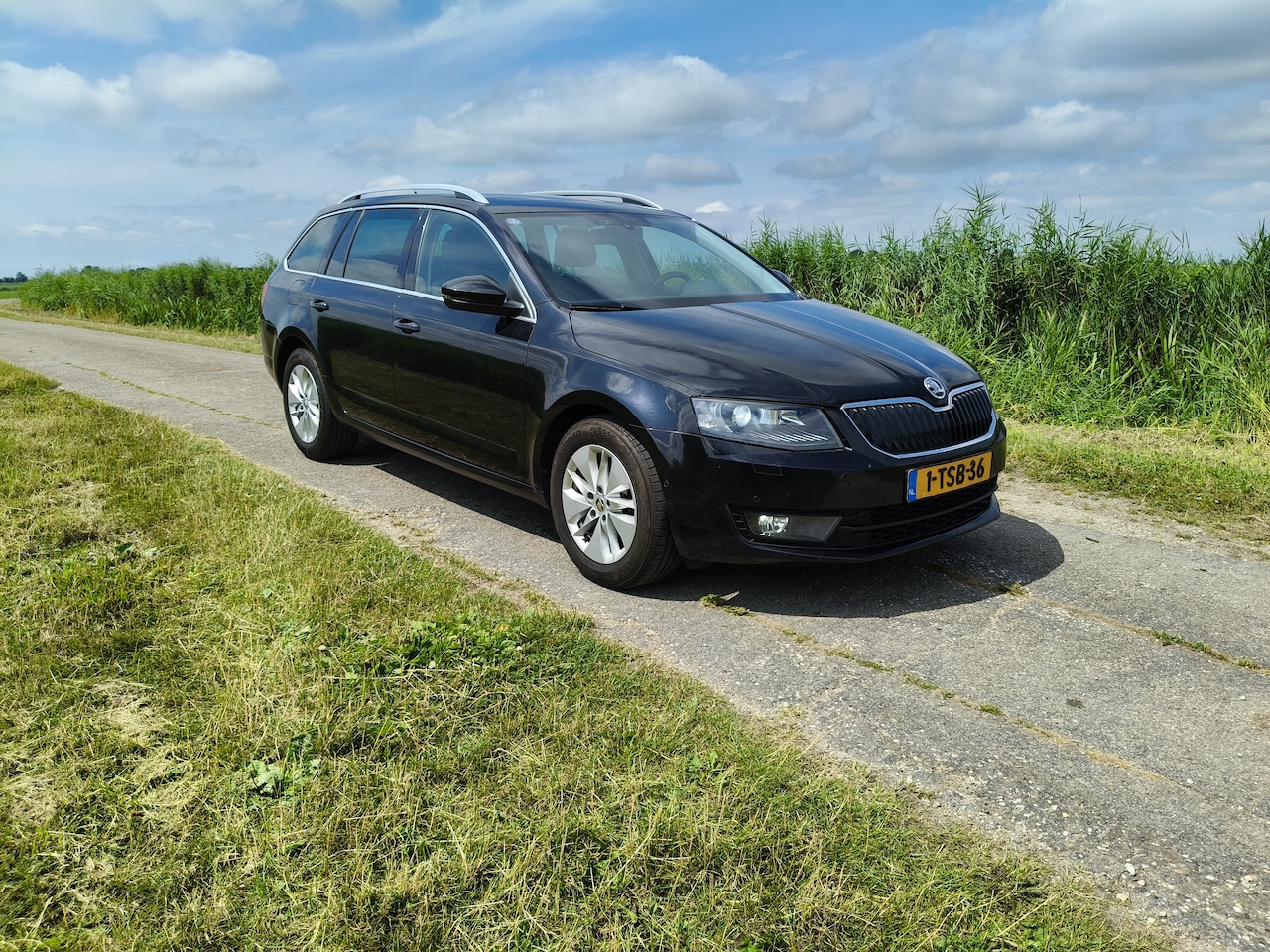 Skoda Octavia Combi - 1.2 TSI Greentech Elegance Businessline Panoramadak - AutoWereld.nl