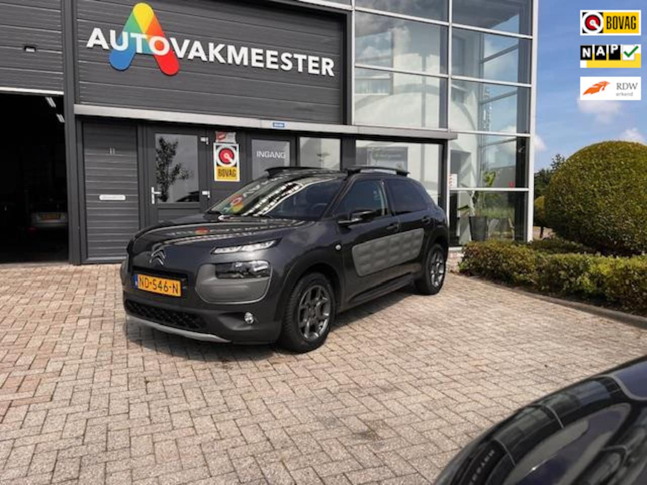 Citroën C4 Cactus - 1.2 PureTech Shine 1.2 PureTech Shine - AutoWereld.nl