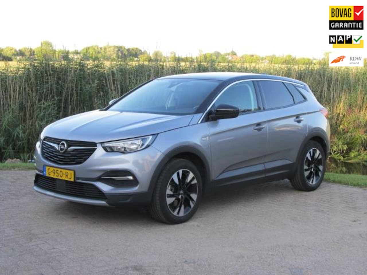 Opel Grandland X - 1.2 Turbo Business Executive Panorama Automaat - AutoWereld.nl