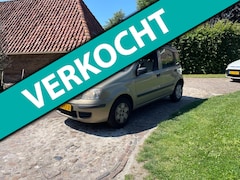 Fiat Panda - 1.2 Edizione Cool