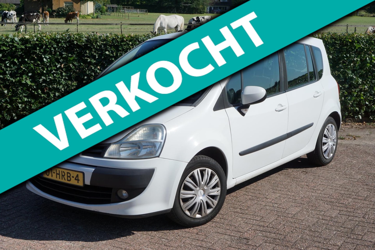 Renault Grand Modus - 1.2 TCE Dynamique|Apk 2026|Rijdt Goed|Clima - AutoWereld.nl