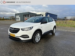 Opel Grandland X - 1.2 Turbo Business Edition