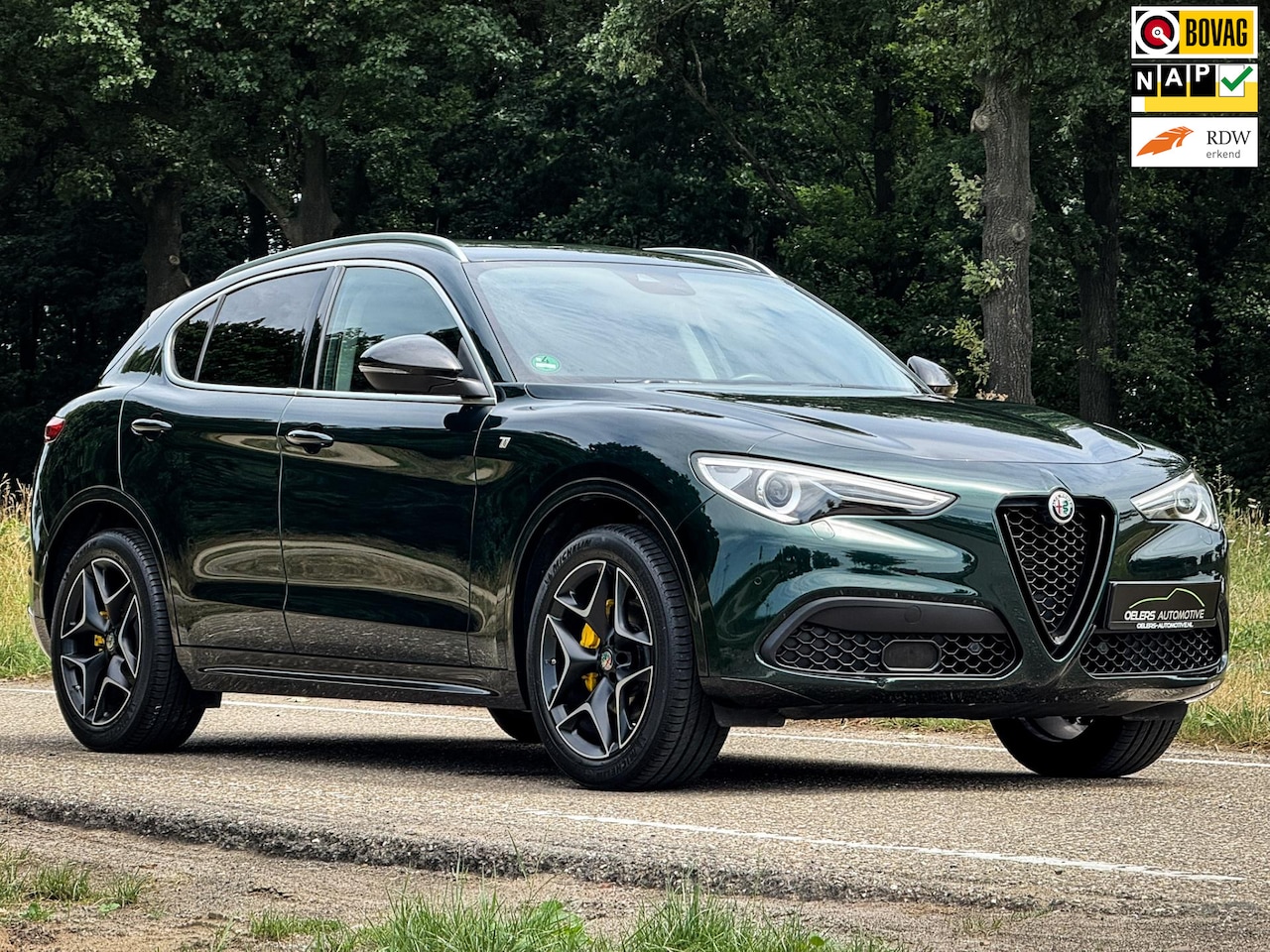 Alfa Romeo Stelvio - 2.0 T Q4 Ti | Verde Visconti | Leder pack | Adaptive cruise | 1e eig. | Clima | 20 inch lm - AutoWereld.nl
