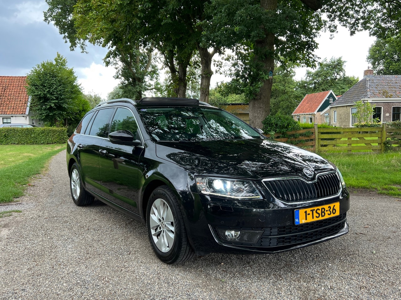 Skoda Octavia Combi - 1.2 TSI Greentech Elegance Businessline | Pano + Cruise + Clima - AutoWereld.nl