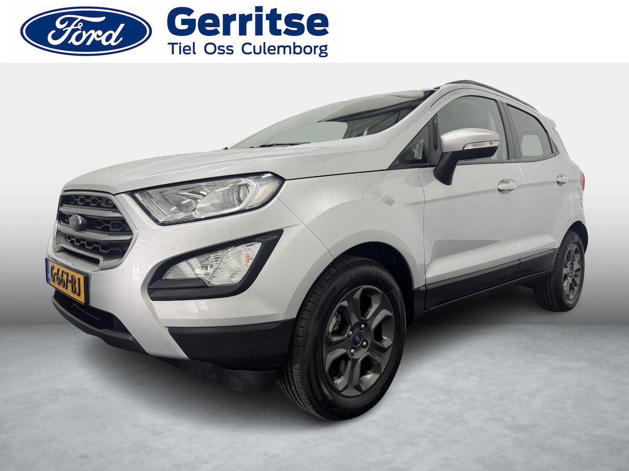 Ford EcoSport - 1.0 EcoBoost Titanium 1.0 EcoBoost Titanium - AutoWereld.nl