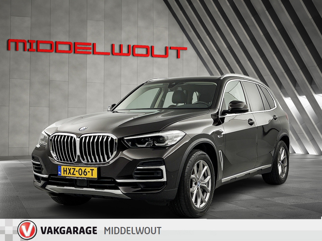 BMW X5 - xDrive45e High Exe/19"/El.Trekh/Led/X Line/DAB/BTW - AutoWereld.nl