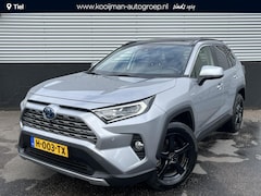 Toyota RAV4 - 2.5 Hybrid AWD Executive Schuif-/kanteldak, JBL audio, dodehoekdetectie, rondomzichtcamera