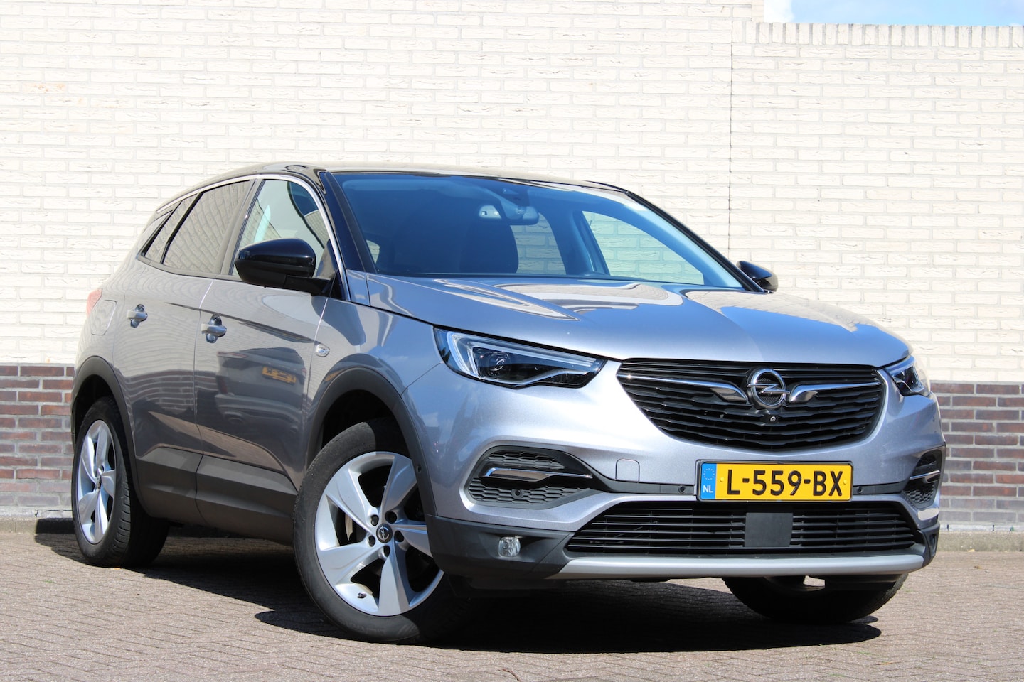 Opel Grandland X - 1.2 Turbo Business Executive | Trekhaak | Camera | Winter pack - AutoWereld.nl