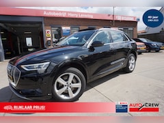Audi e-tron - 50 quattro 313pk Launch Edition Plus Panoramadak Leer