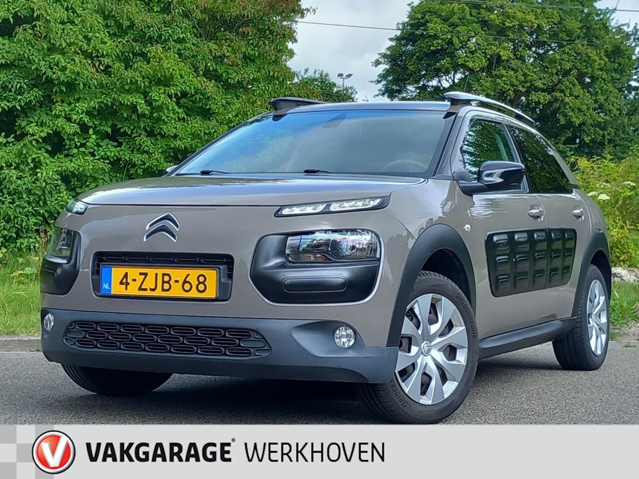 Citroën C4 Cactus - 1.2 e-VTi Business | AUTOMAAT | Camera | Trekhaak - AutoWereld.nl