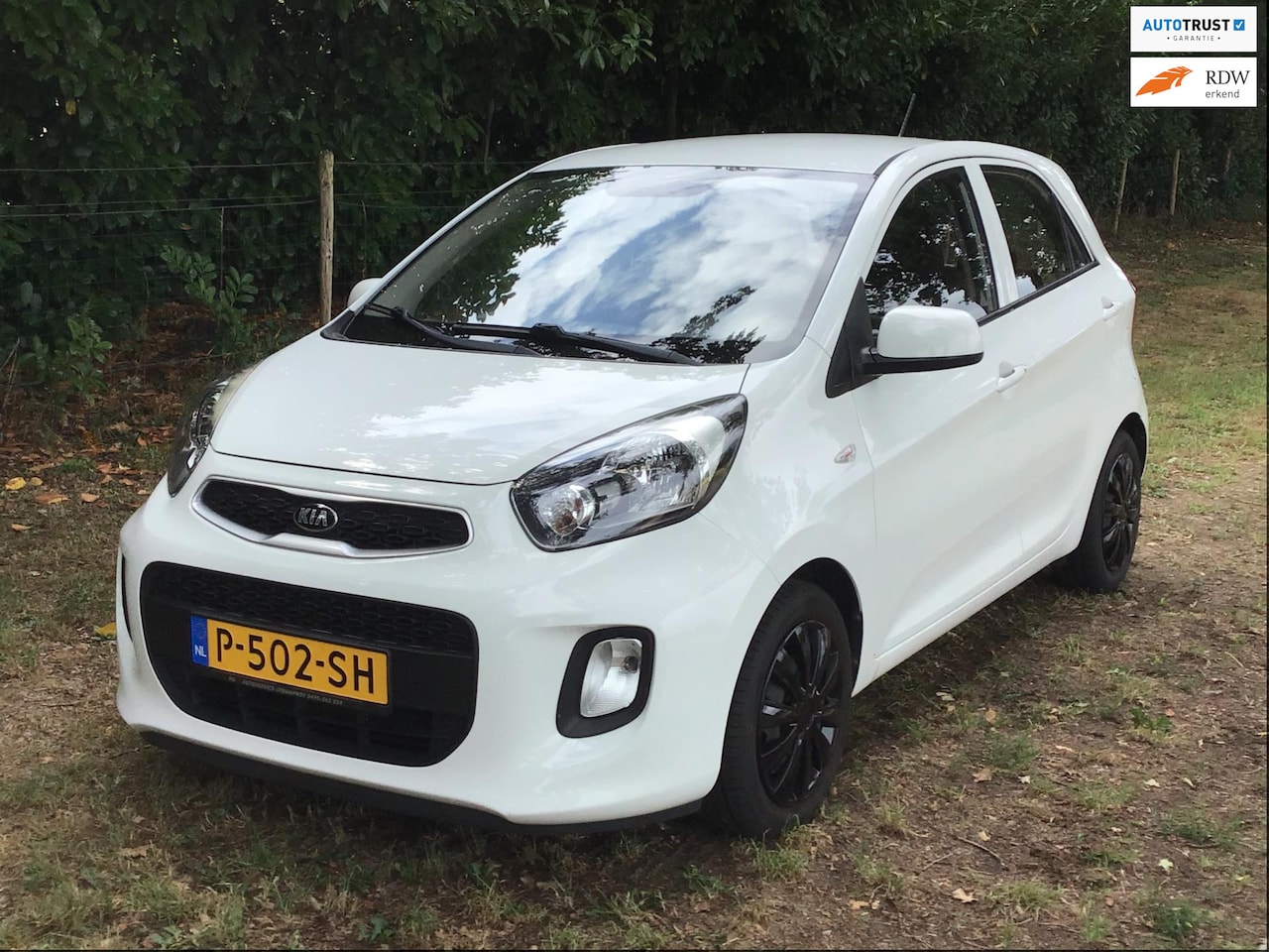 Kia Picanto - 1.0 CVVT ComfortLine Airco - AutoWereld.nl