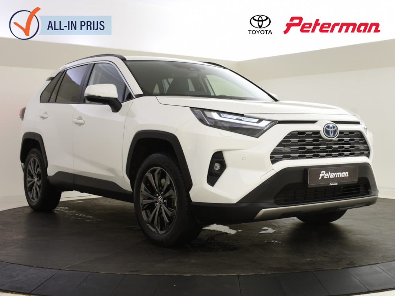 Toyota RAV4 - 2.5 Hybrid Executive | JBL | Memory Seat | Trekhaak - AutoWereld.nl