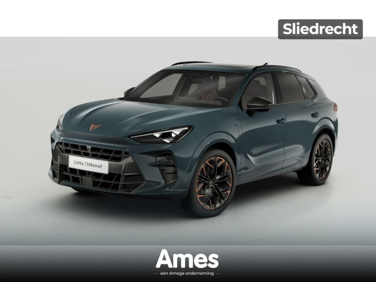 CUPRA Terramar - 1.5 e-Hybrid 272pk DSG VZ Performance | Panoramadak | Dodehoeksensoren | Matrix-LED - AutoWereld.nl