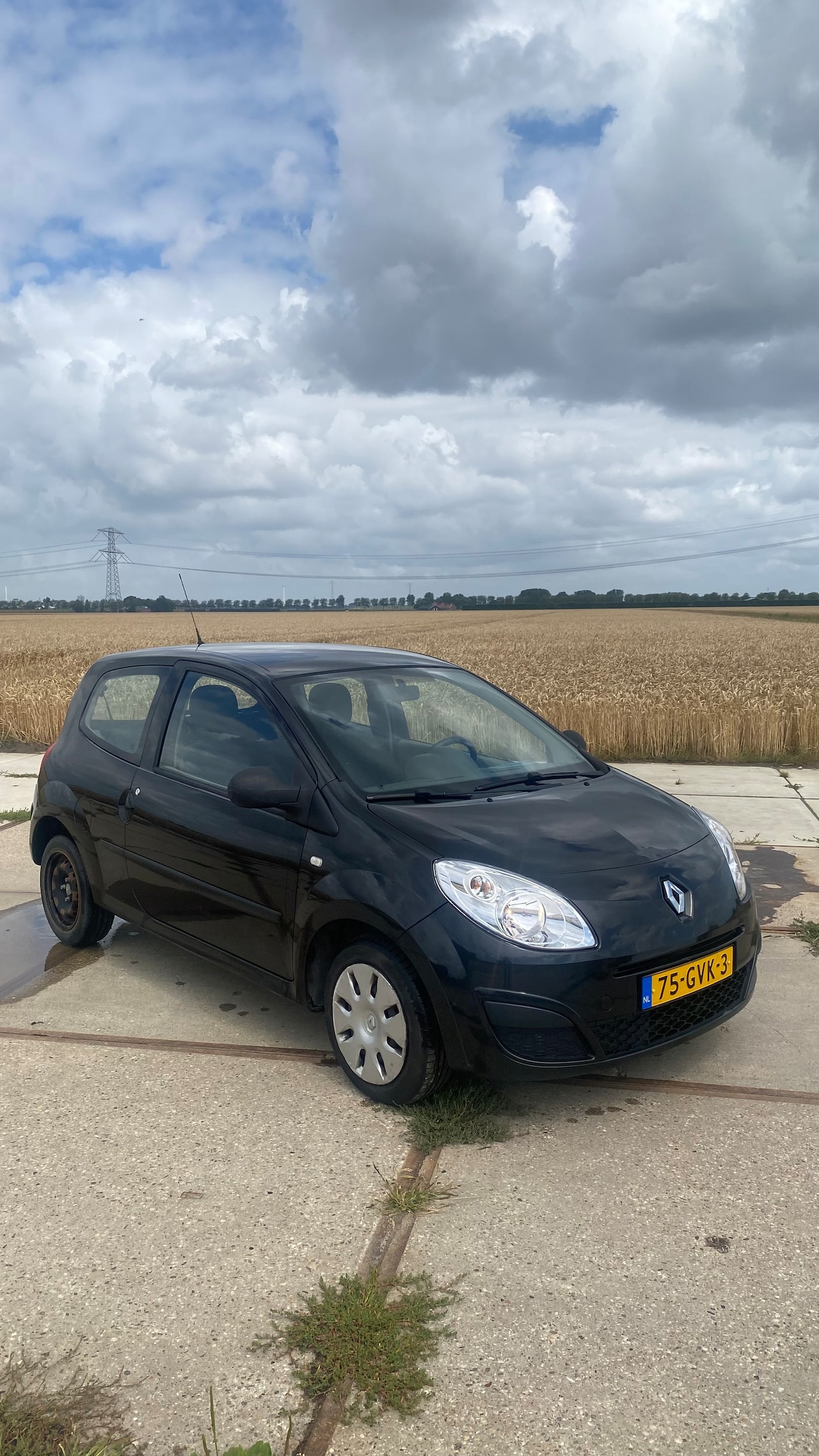 Renault Twingo - 1.2 Authentique - AutoWereld.nl