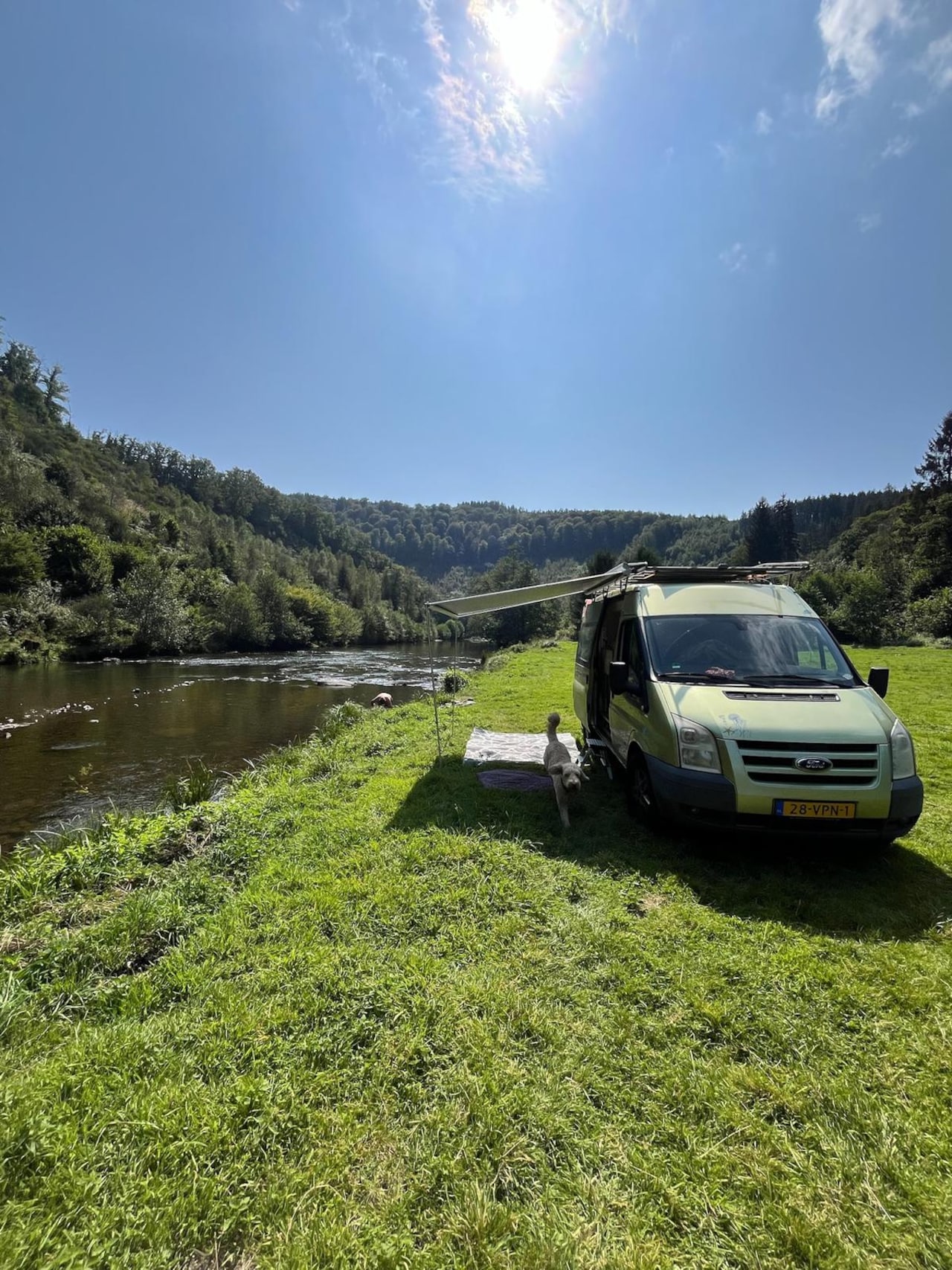 Ford Transit - 350M - AutoWereld.nl