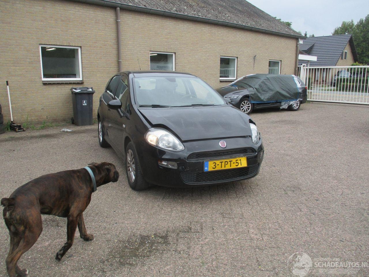 Fiat Punto Evo - 0.9 TwinAir Street NAP - AutoWereld.nl