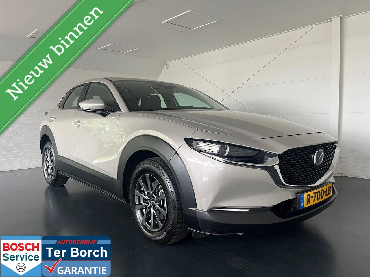 Mazda CX-30 - 2.0 e-SkyActiv-G M Hybrid Navi,PDC,LED - AutoWereld.nl