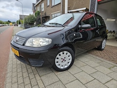 Fiat Punto - 1.2 Active/ Lage Km met tellerrapport