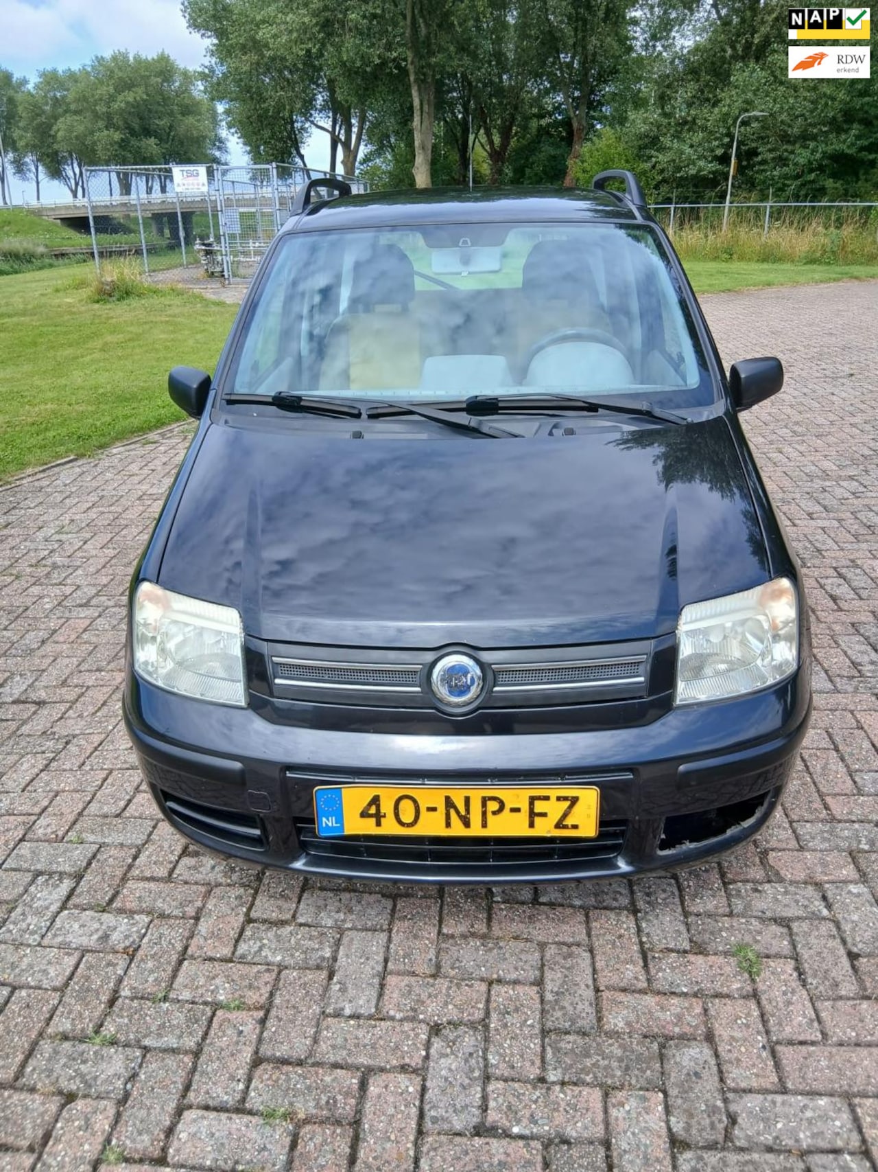 Fiat Panda - 1.2 Dynamic 1.2 Dynamic - AutoWereld.nl