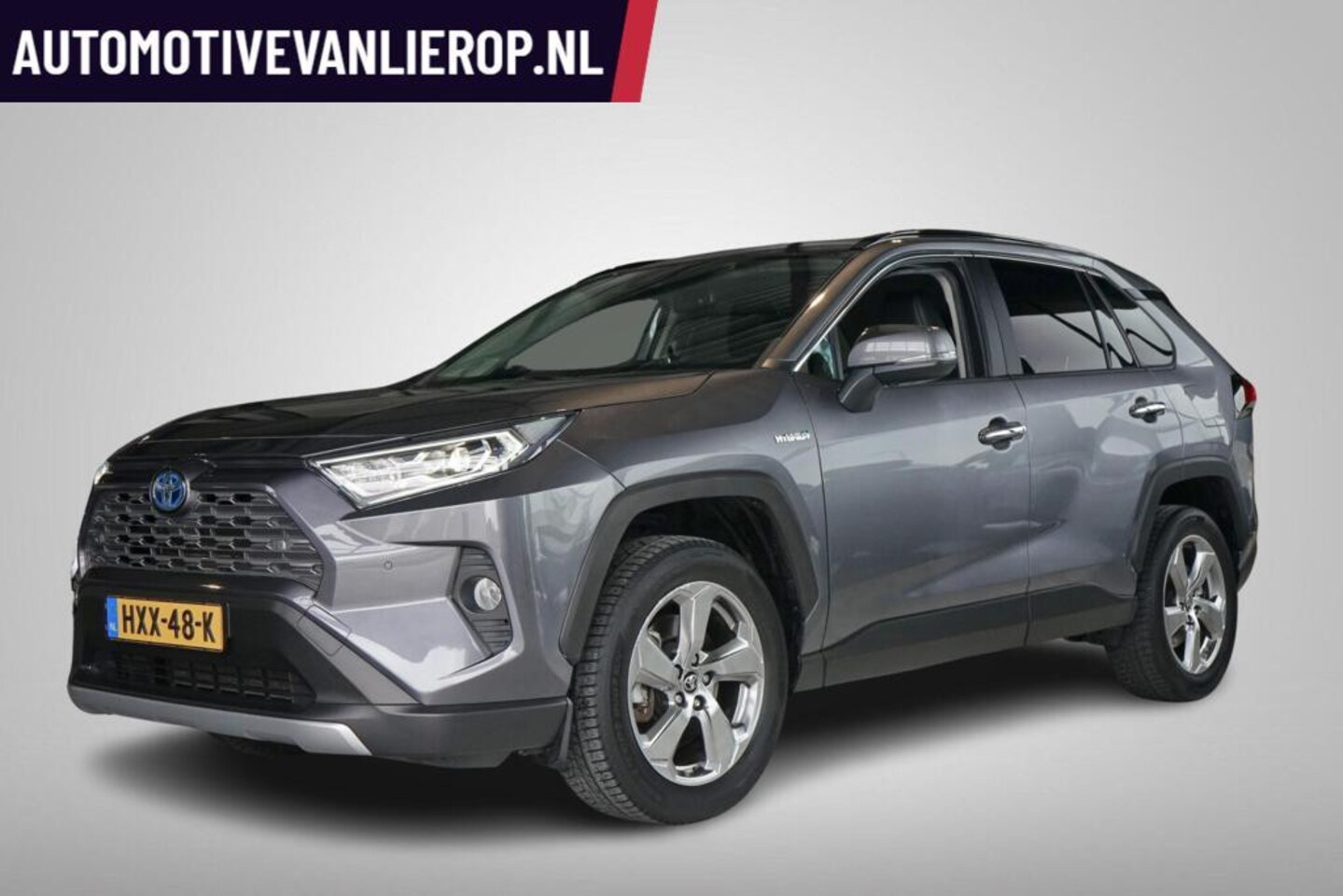 Toyota RAV4 - 2.5 Hybrid Executive | JBL | ADAPTIVE CRUISE | CAMERA - AutoWereld.nl