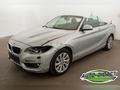 BMW 2-serie Cabrio - 220 Automaat Navi