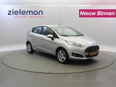 Ford Fiesta - 1.0 EcoBoost Titanium - Clima, Navi, LM velgen