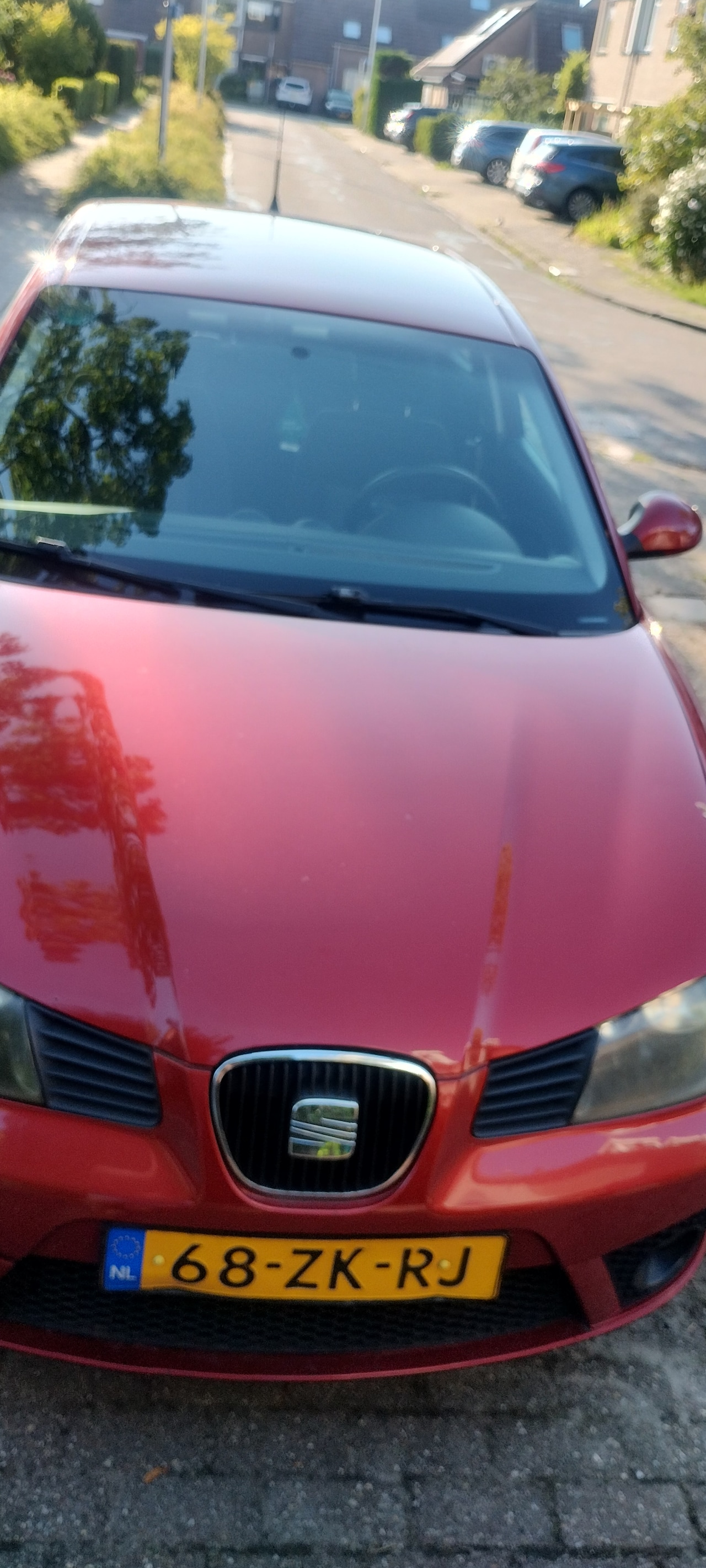 SEAT Ibiza - 1.6-16V Freestyle - AutoWereld.nl