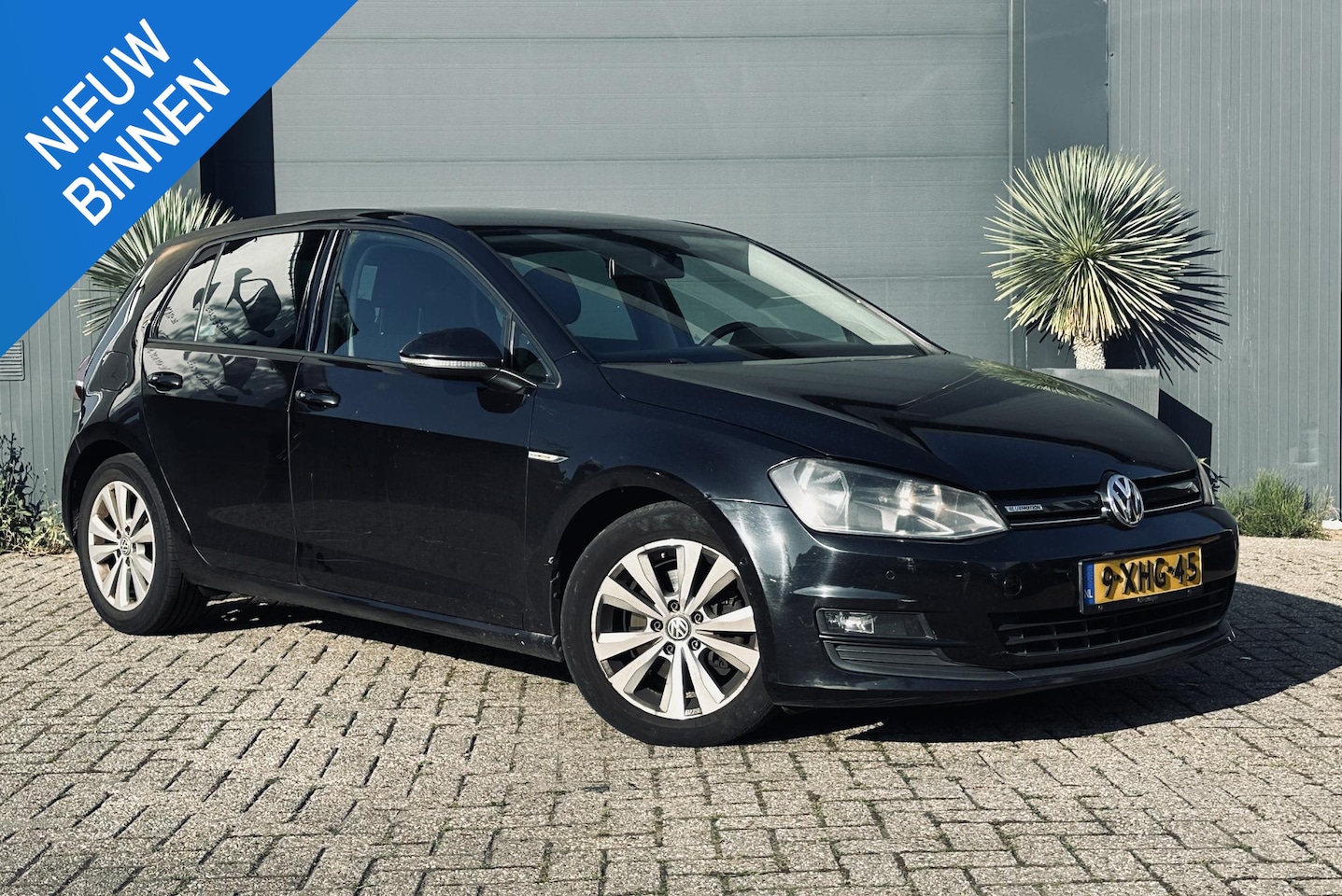 Volkswagen Golf - 1.6 TDI Highline BlueMotion 1.6 TDI Highline BlueMotion - AutoWereld.nl