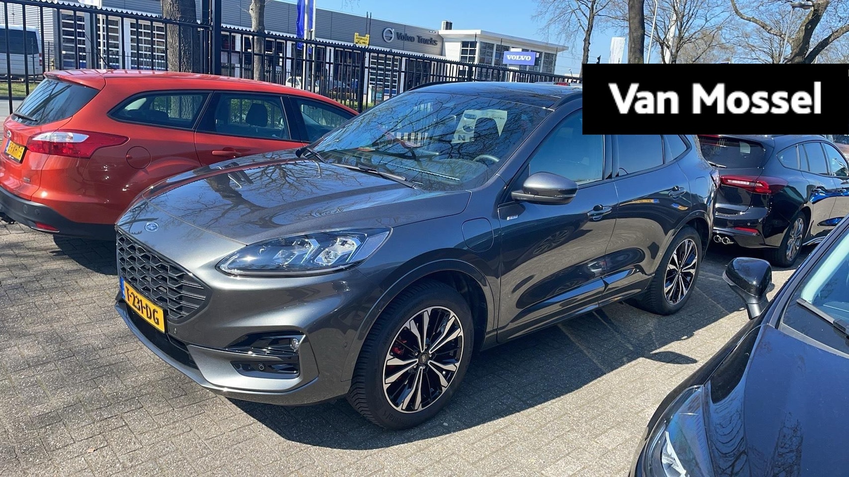 Ford Kuga - 2.5 PHEV ST-Line X Pano dak / AGR stoelen / 19" / B&O / Bliss / Adpap cruise / verlengde f - AutoWereld.nl