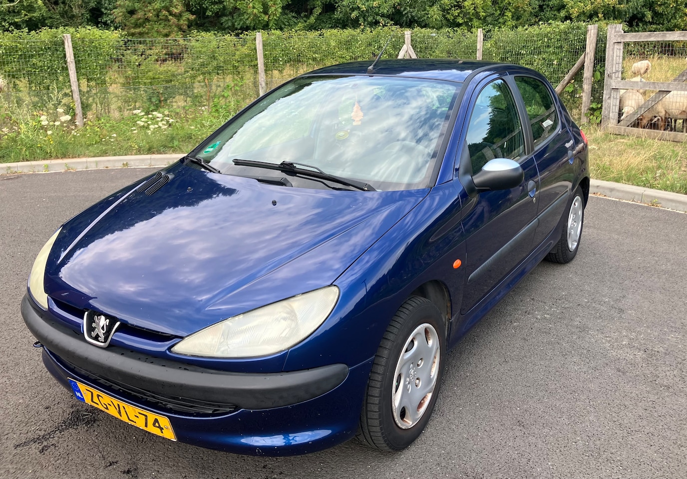 Peugeot 206 - 1.4 XT APK tot mei 2026! - AutoWereld.nl