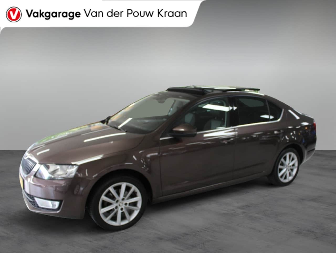 Skoda Octavia - 1.0 TSI Greentech Ambition Business Panodak / Trekhaak - AutoWereld.nl