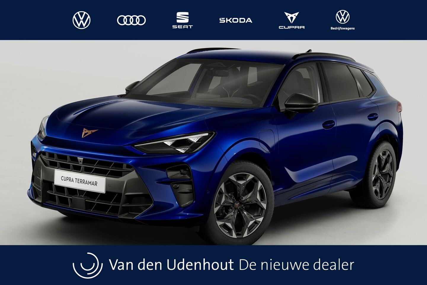 CUPRA Terramar - 1.5 TSI e-Hybrid 272 6DSG VZ Performance | 360 graden camera | Achteruitrijcamera | Draadl - AutoWereld.nl