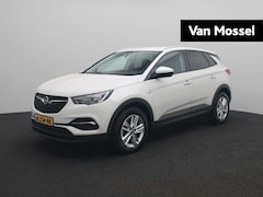 Opel Grandland X - 1.2 Turbo Business + | Climate control | Navigatie | Camera