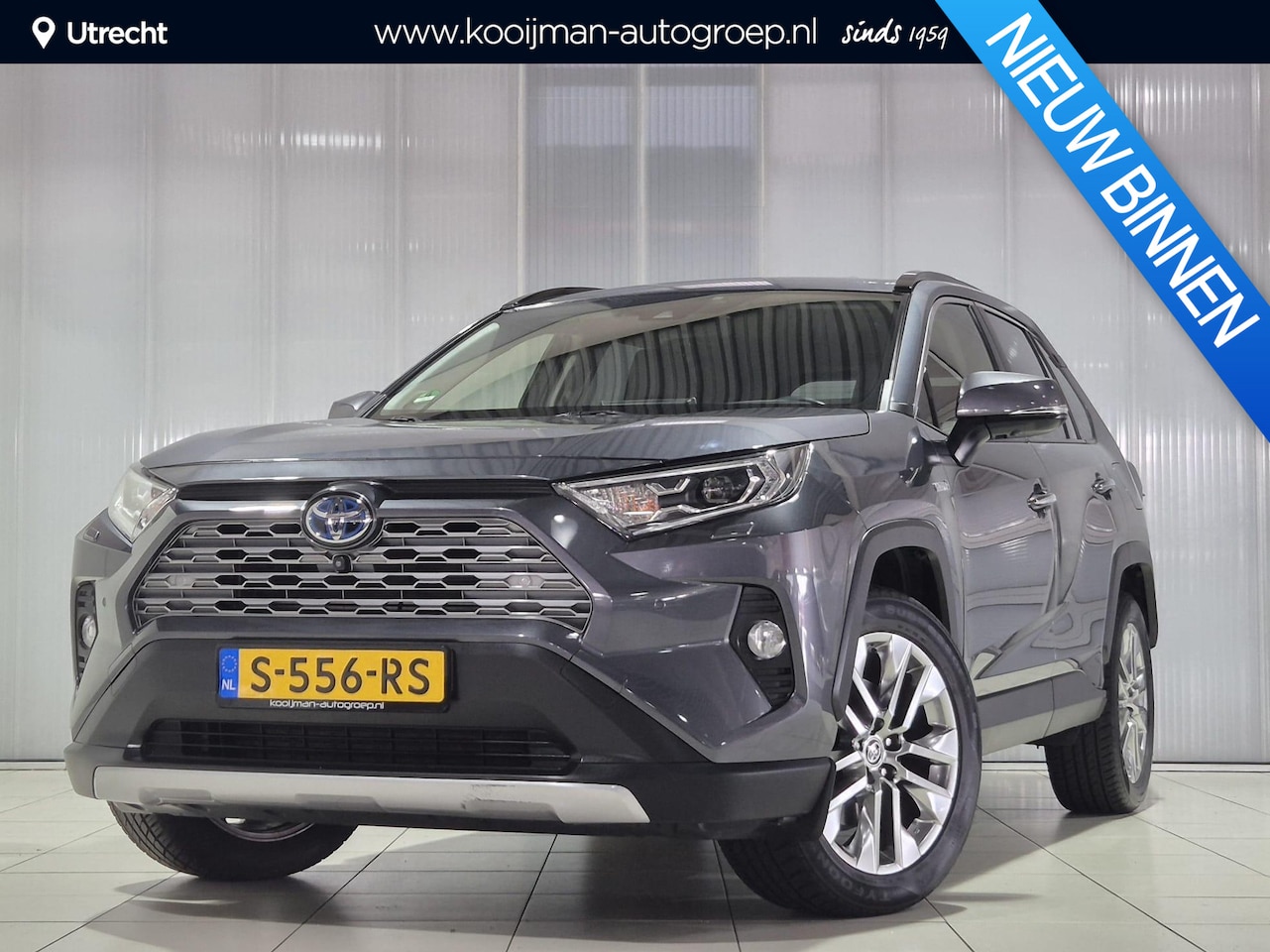 Toyota RAV4 - 2.5 Hybrid AWD Executive | Bearlock | Trekhaak | Dealer onderhouden | - AutoWereld.nl