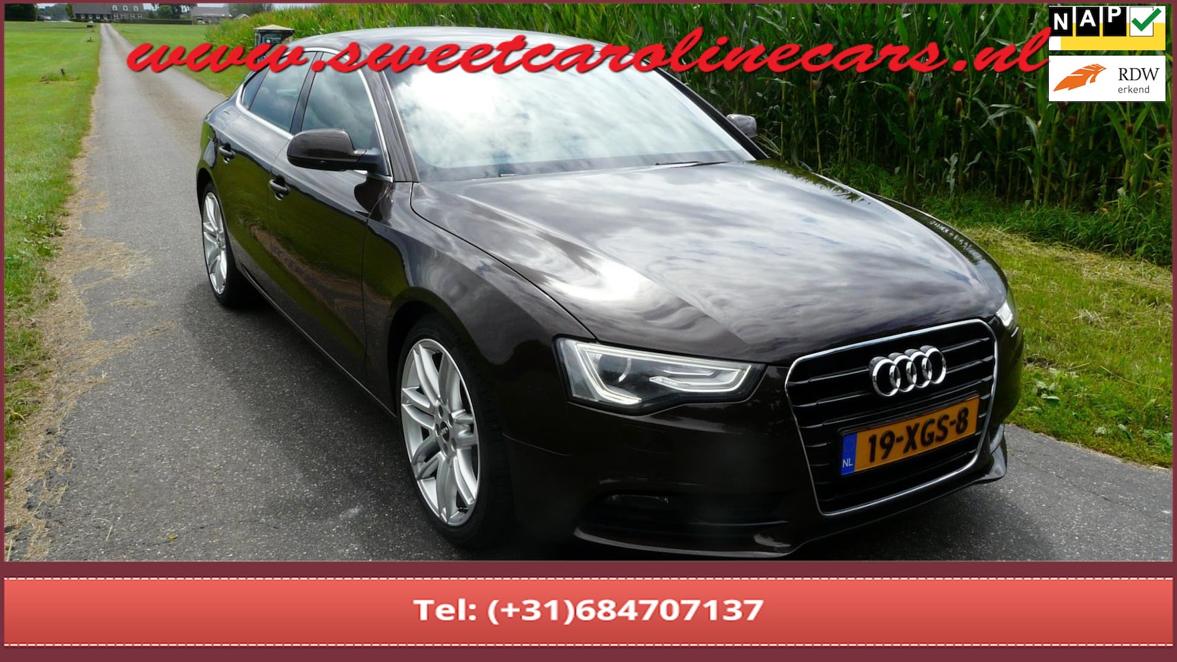 Audi A5 Sportback - 1.8 TFSI Pro Line 1.8 TFSI Pro Line,Automaat,Sport,Leder,Xenon, 19"Lmv's, VOL!! - AutoWereld.nl