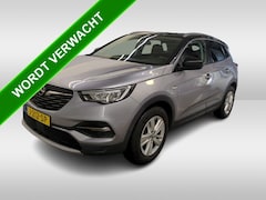 Opel Grandland X - 1.5 CDTi Business Executive Automaat / Trekhaak / Xenon / Airco-ecc./ Navigatie / Pdc + Ca