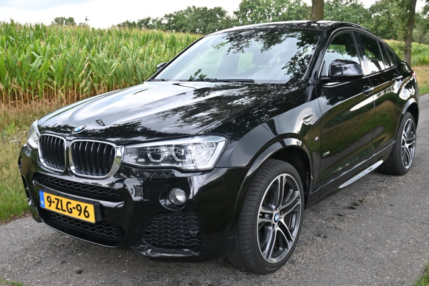 BMW X4 - X-Drive20i High Exec. | M-SPORT | NL auto | Leder | - AutoWereld.nl