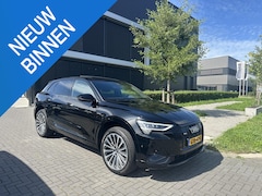 Audi e-tron - 55 quattro 95 kWh S Line Pano, Leder, B&O, Keyless, Camera