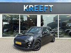 MINI One - 1.5 Pepper Blackpack