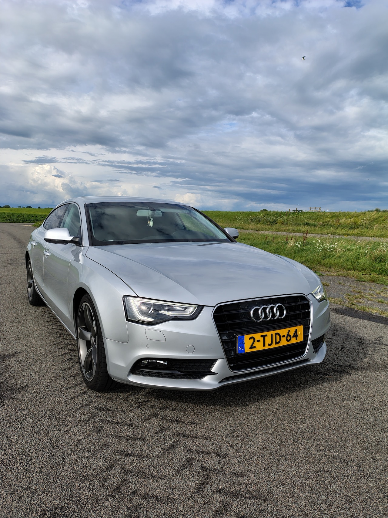 Audi A5 Sportback - 2.0 TDI Pro Line - AutoWereld.nl