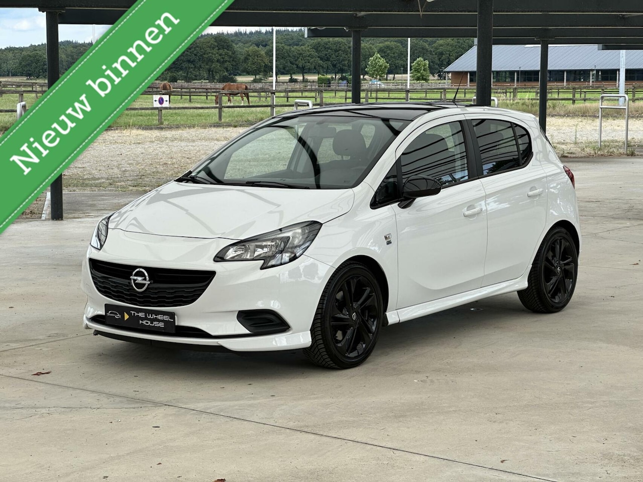 Opel Corsa - 1.0 Turbo Color Edition OPC/DEALER.OH/CRUISE/AIRC - AutoWereld.nl