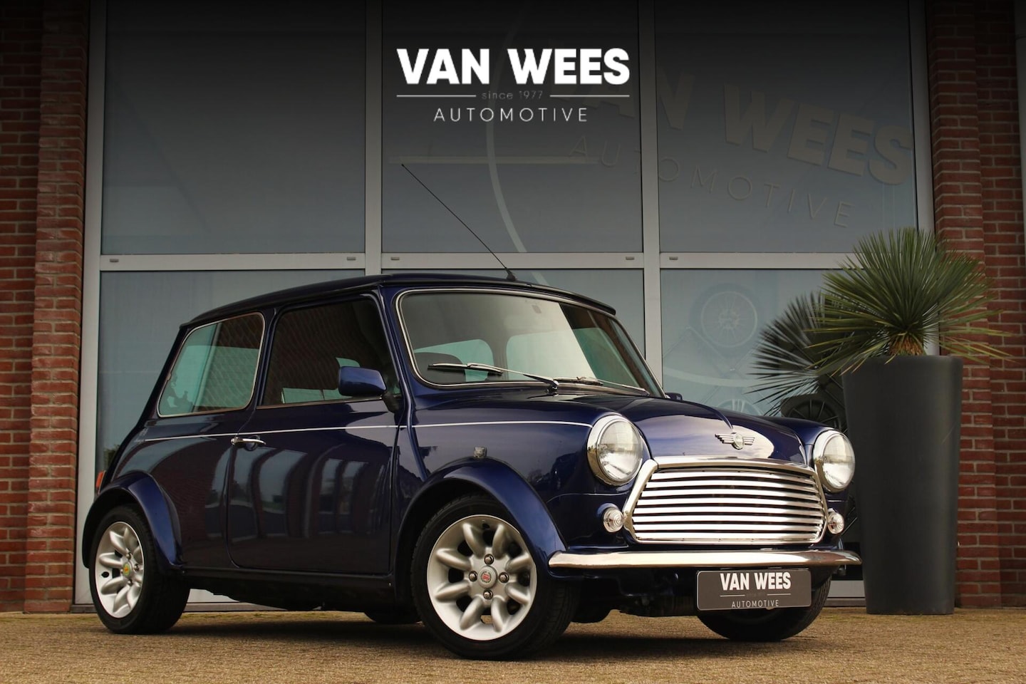 MINI Cooper S - Rover 1.3 Monza uitvoering | Origineel | Uniek | Classic ➡️ - AutoWereld.nl