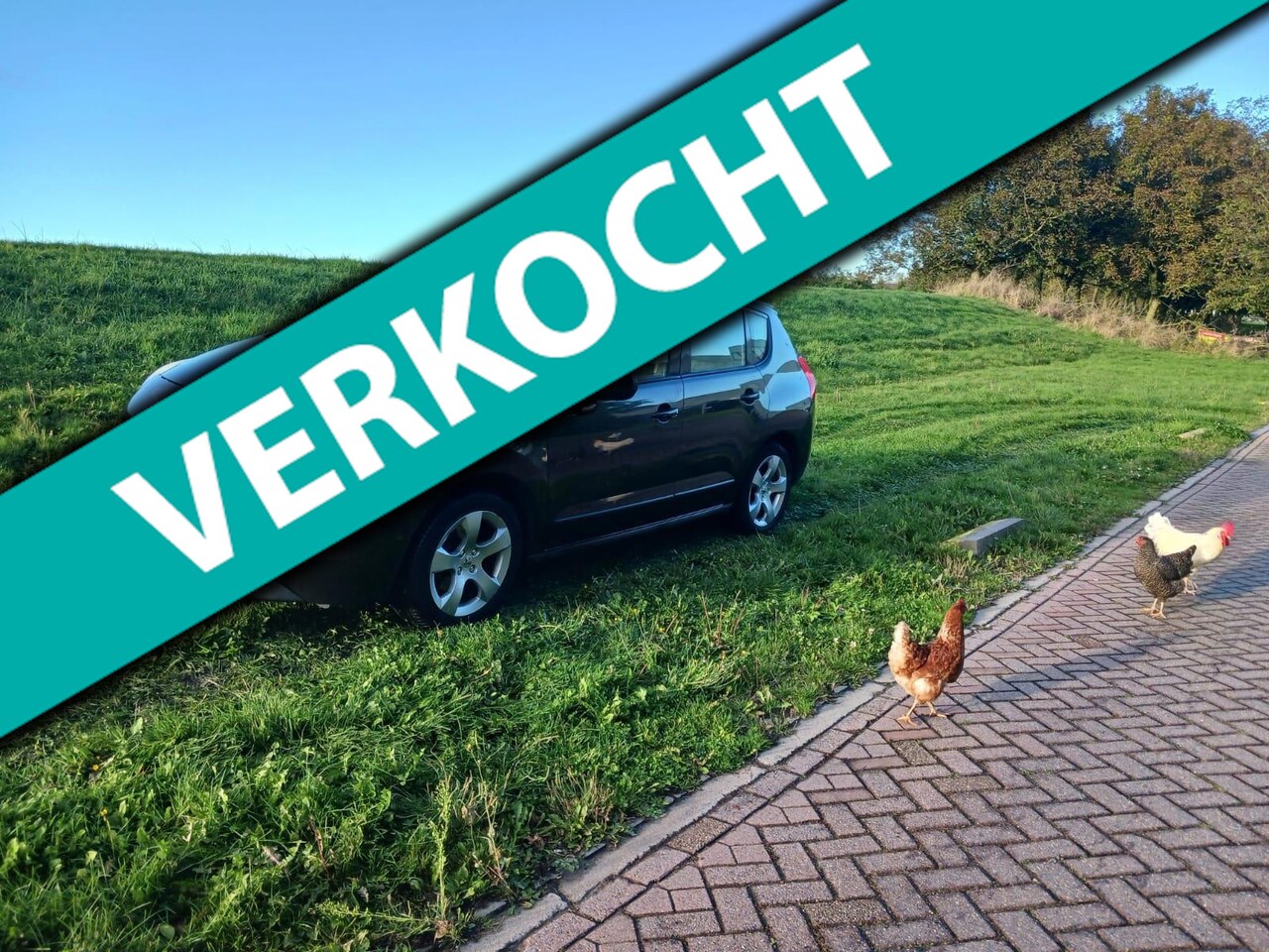 Peugeot 3008 - 1.6i THP ST Airco Climate Cruise Control Panoramadak Navigatie PDC Afneembare trekhaak - AutoWereld.nl