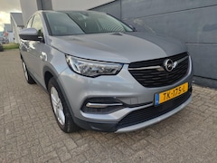 Opel Grandland X - 1.2 Turbo Business Executive